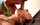 deepthroat blowjob gag