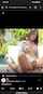 pussy shaved pussy missionary
