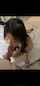 asian blowjob cosplay