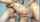 camgirl ebony amateur