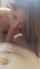 amateur blowjob sex