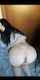 camgirl amateur ass