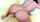 camgirl anal fucking machine