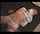 jav big tits bondage
