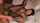 squirt fishnet big breasts