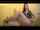 joi public mistress