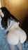 camgirl teen ass