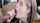 blonde student blowjob