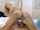 fuckingglasses teen blonde