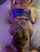 hotwife mfm threesome