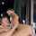 amateur camgirl brunette