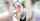 blow job big eyes outdoor