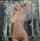 nude blond porn poster