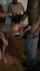 bbc interracial blowjob