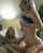 lesbian teen milf