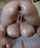 big tits thicc big ass