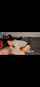 amateur blowjob brunette