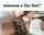 masturbation fingering skirt