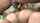 jav asian slut