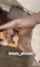 camgirl amateur pornstar