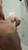 camgirl blonde flat