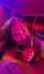 redhead bbc interracial