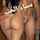 camgirl ass whore