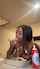 ebony cake tits