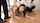 japanese jav school