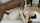 blacked pale skin bbc