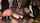 leila botwin bbc madbrosx