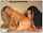 threesome sexy hot
