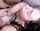 ffm threesome blowjob