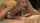 oldjie blonde cum