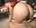 ride cowgirl reverse cowgirl