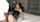 amateur asian camgirl