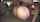 censored jav japanese