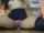 dildo ride school uniform miniskirt