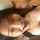 amateur asian blow job