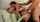 mmf double threesome