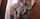jav japan asian japanese