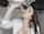 blowjob ebony white