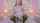 camgirl amateur masterbation