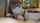 japanese asian blowjob