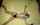 tied bdsm bondage