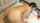 japanese small boobs creampie