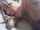 blonde cfnm amateur