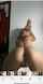 camgirl amateur blonde