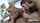 threesome anal fmm