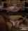 japanese jav mom